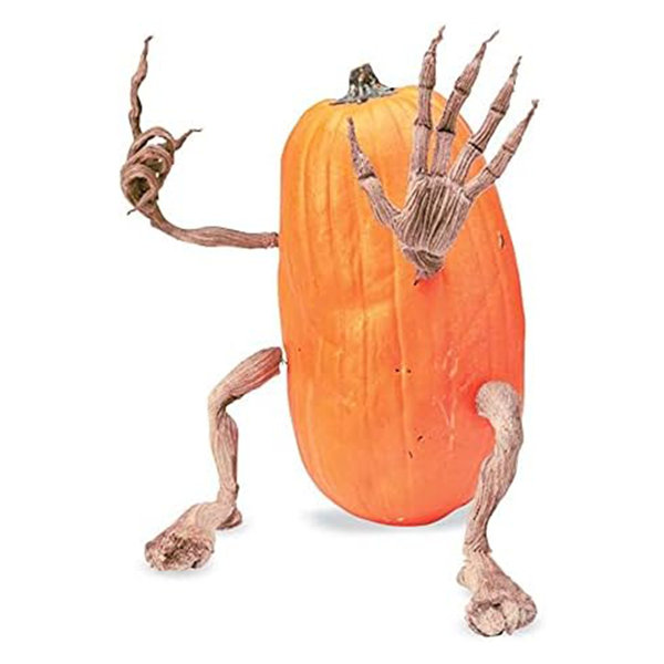 The Holiday Aisle® Plow & Hearth Set Of 4 Bendable Pumpkin Arms And